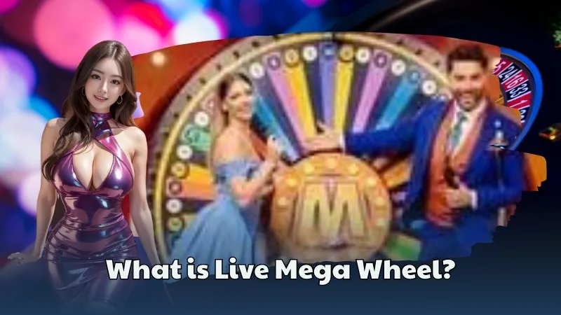 Live Mega Wheel: The Ultimate Guide